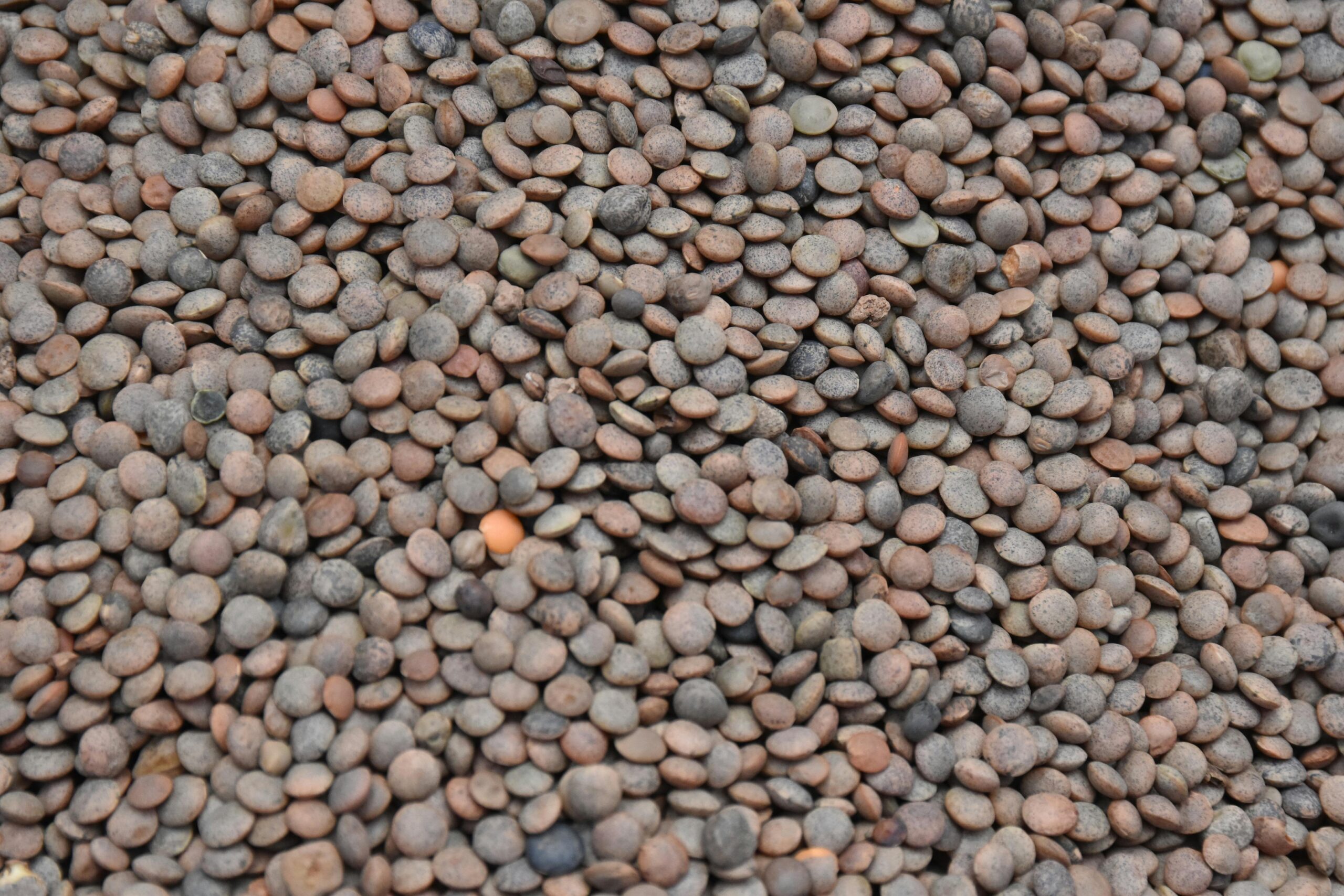 Pulses